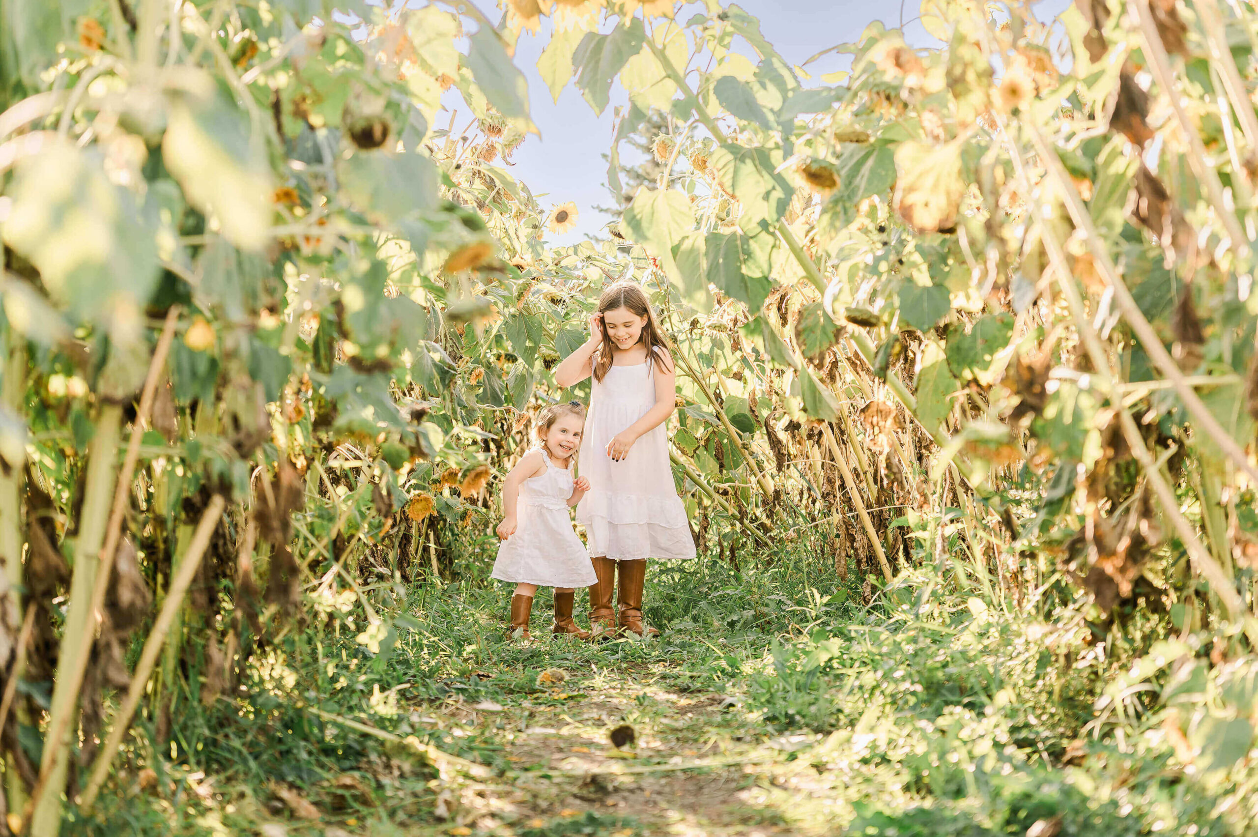 Sisters in summer white dresses having fun in a sunflower field during a family photography session as one of many fun Edmonton Summer Activities to do in Sherwood Park